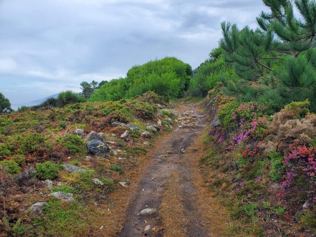 Mitchell chose to take the coastal route of the Camino, beginning in a mountainous region of Portugal.