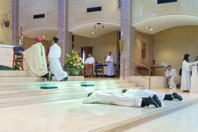In Faith Facts the authors explain all the steps, including, why the candidates to the priesthood lay prostrate during the ordination Mass.