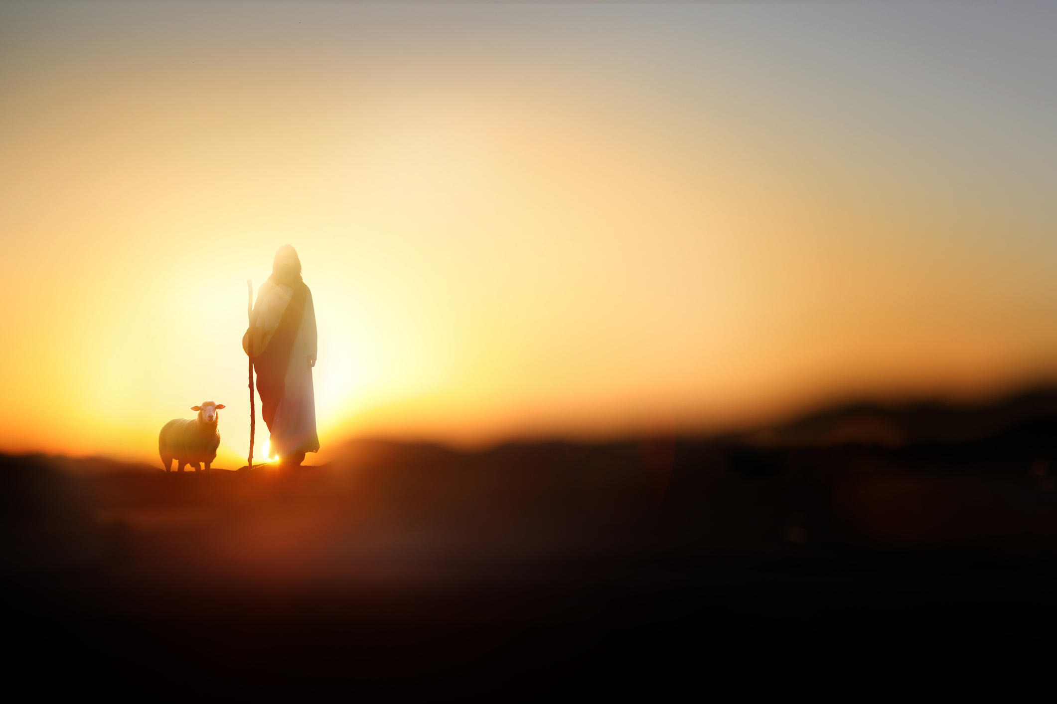 Jesus Christ, the Good Shepherd, walking with sheep on a meadow.