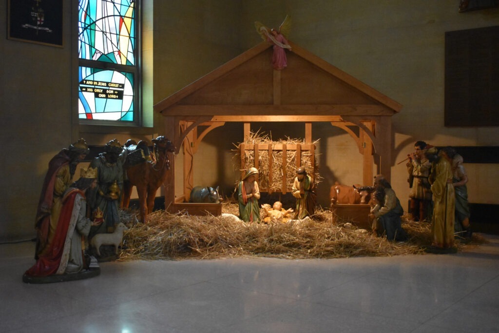 Manger set up at St. Columba Cathedral