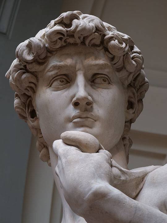 Image of Michelangelo's David