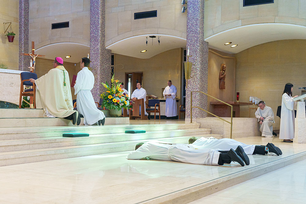 In Faith Facts the authors explain all the steps, including, why the candidates to the priesthood lay prostrate during the ordination Mass.