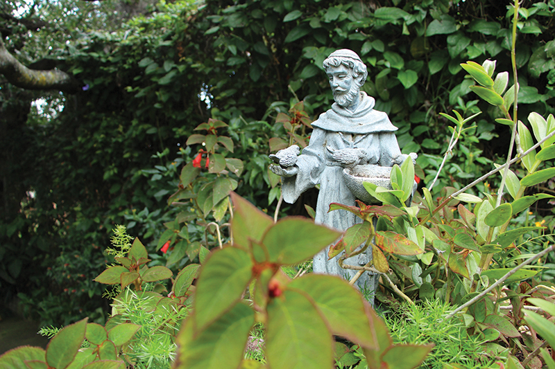 St. Francis of Assissi statue in a flower bed of a garden in Mexico.